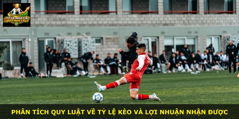 Phân tích quy luật về tỷ lệ kèo và lợi nhuận nhận được