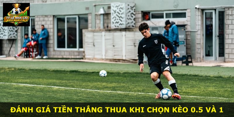 Đánh giá tiền thắng thua khi chọn kèo 0.5 và 1