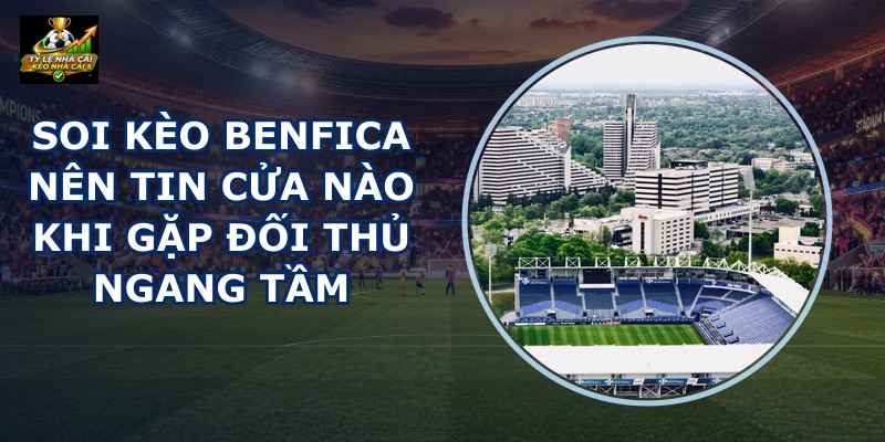 Soi Kèo Benfica